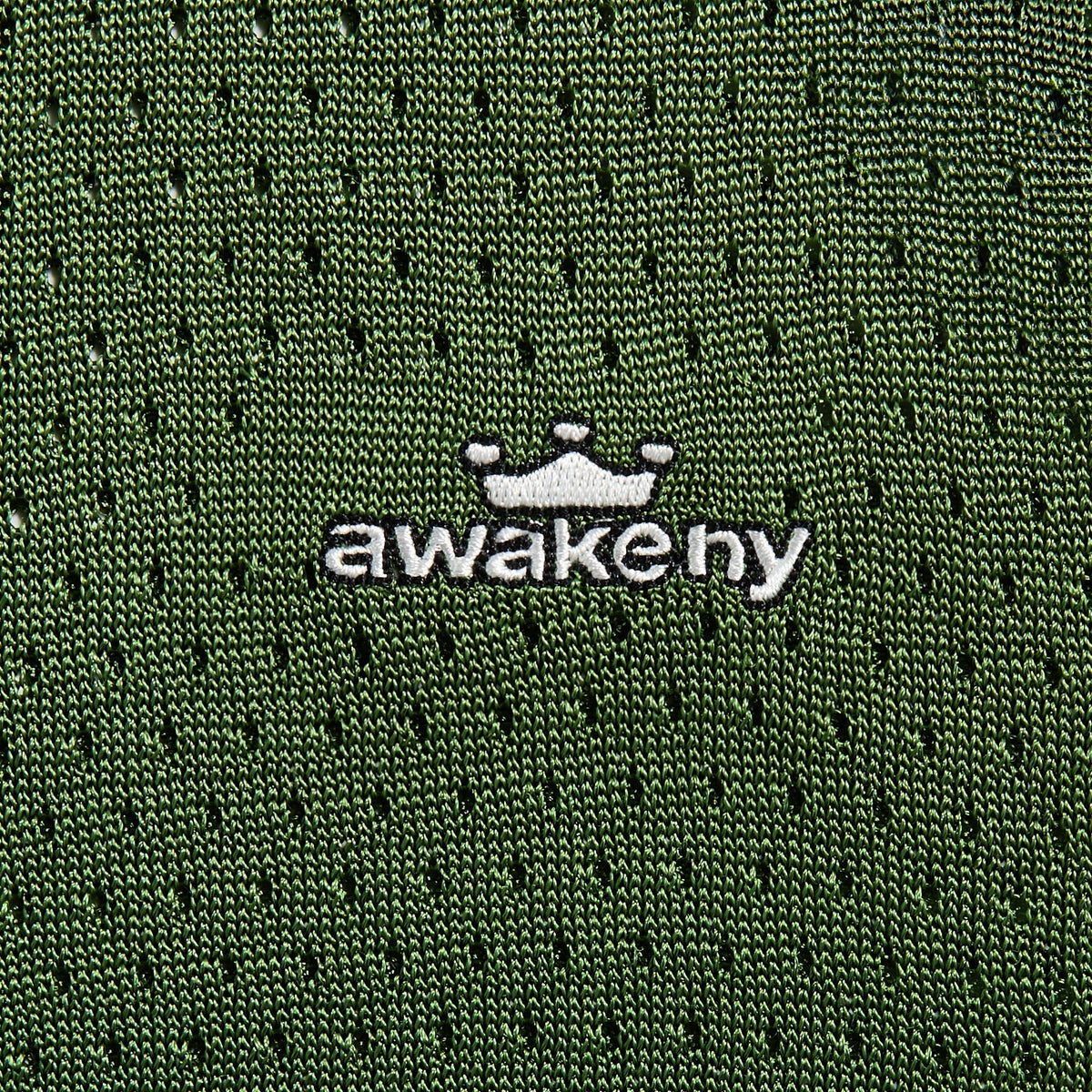 Awake NY Knit Soccer Jersey in Green