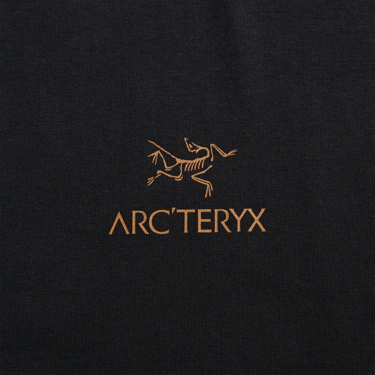 Arc'teryx Kragg SL Cotton Bird Word Short Sleeve Tee - 24K Black