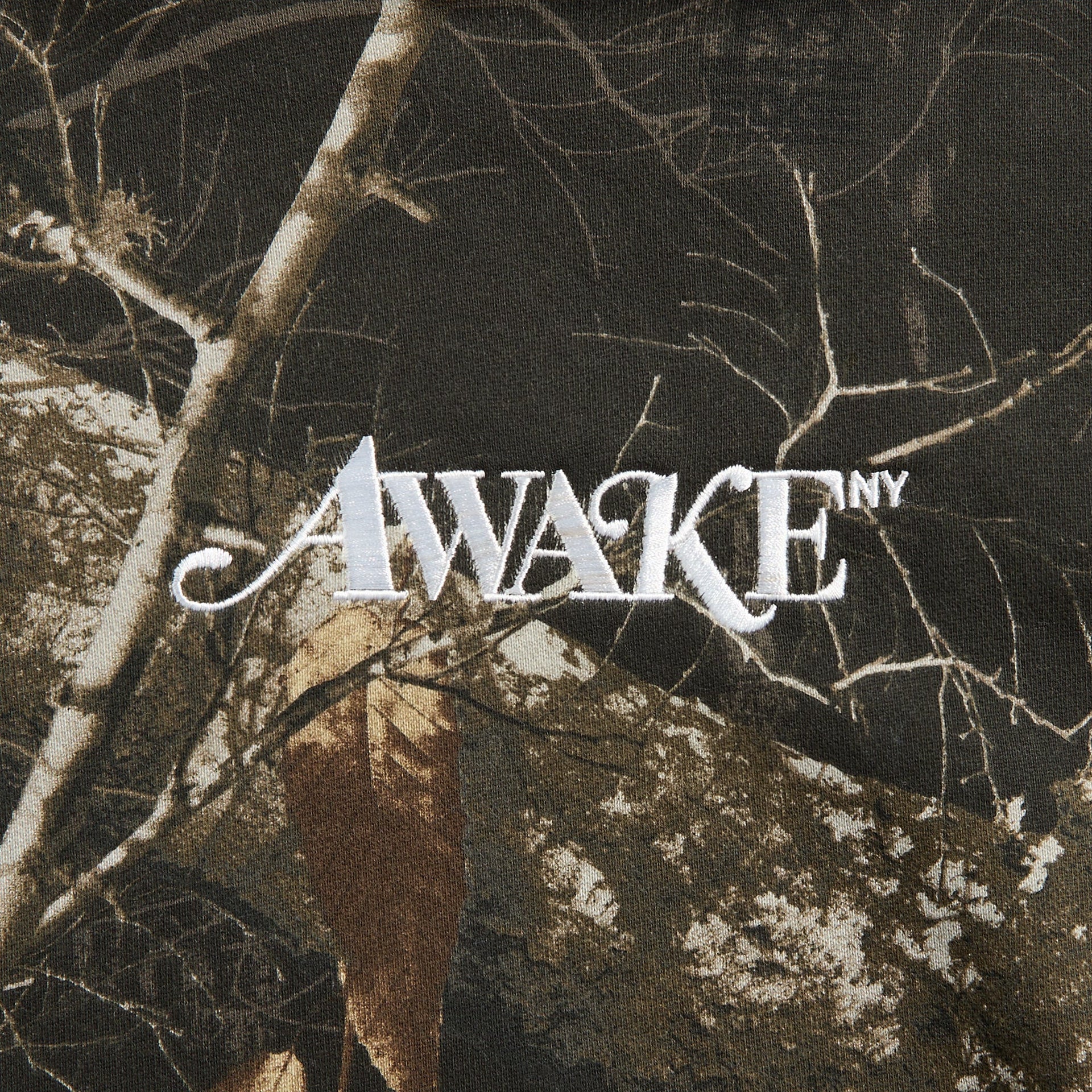 Awake NY Classic Logo Hoodie in Shadow