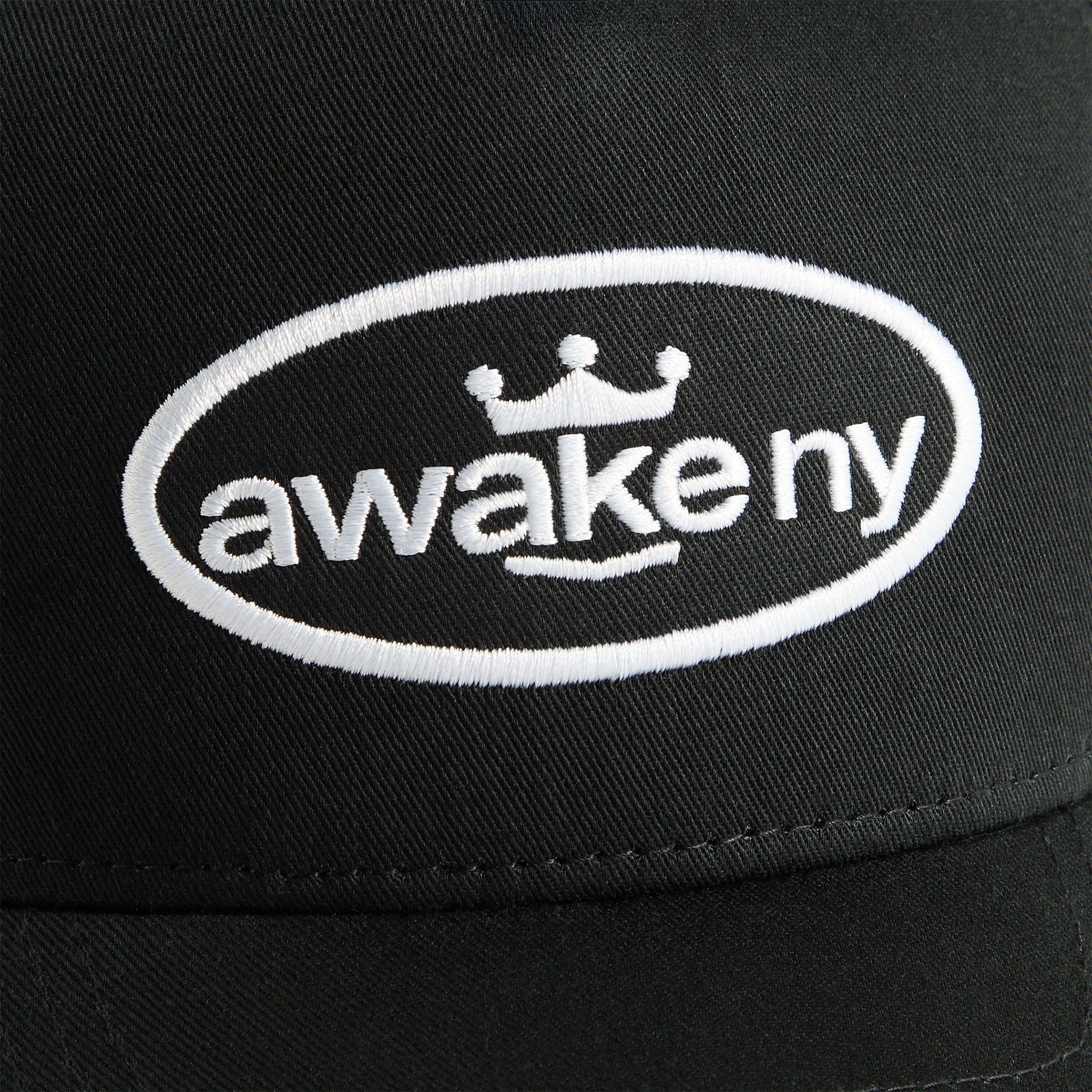 Awake King Logo Trucker Cap in Black