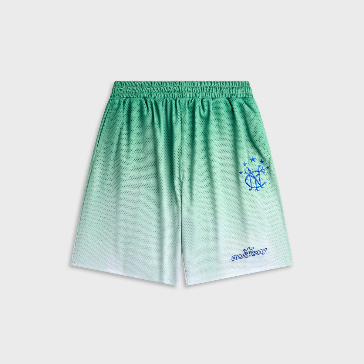 Awake NY Gradient Shorts in Green, green ombre mesh shorts with logo print, front view