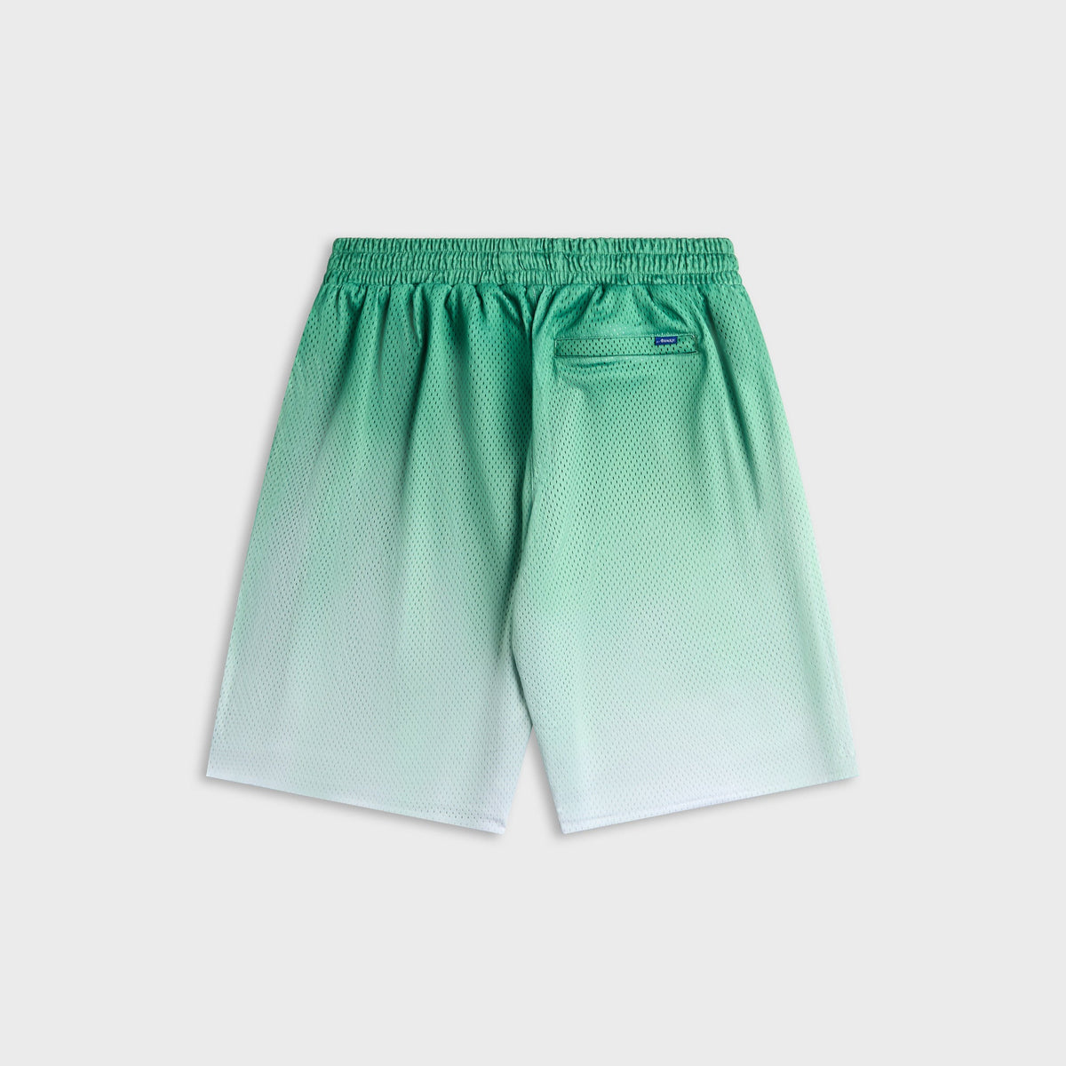 Awake NY Gradient Shorts in Green, green ombre mesh shorts, back view