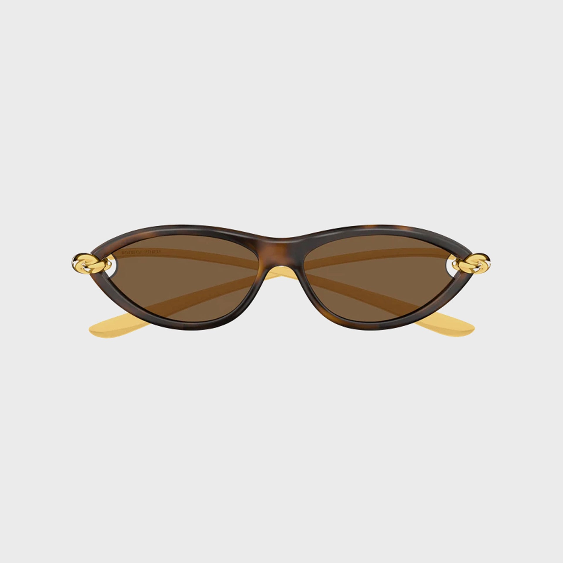 Bottega Veneta BV Metal Frames 90S in Tortoise