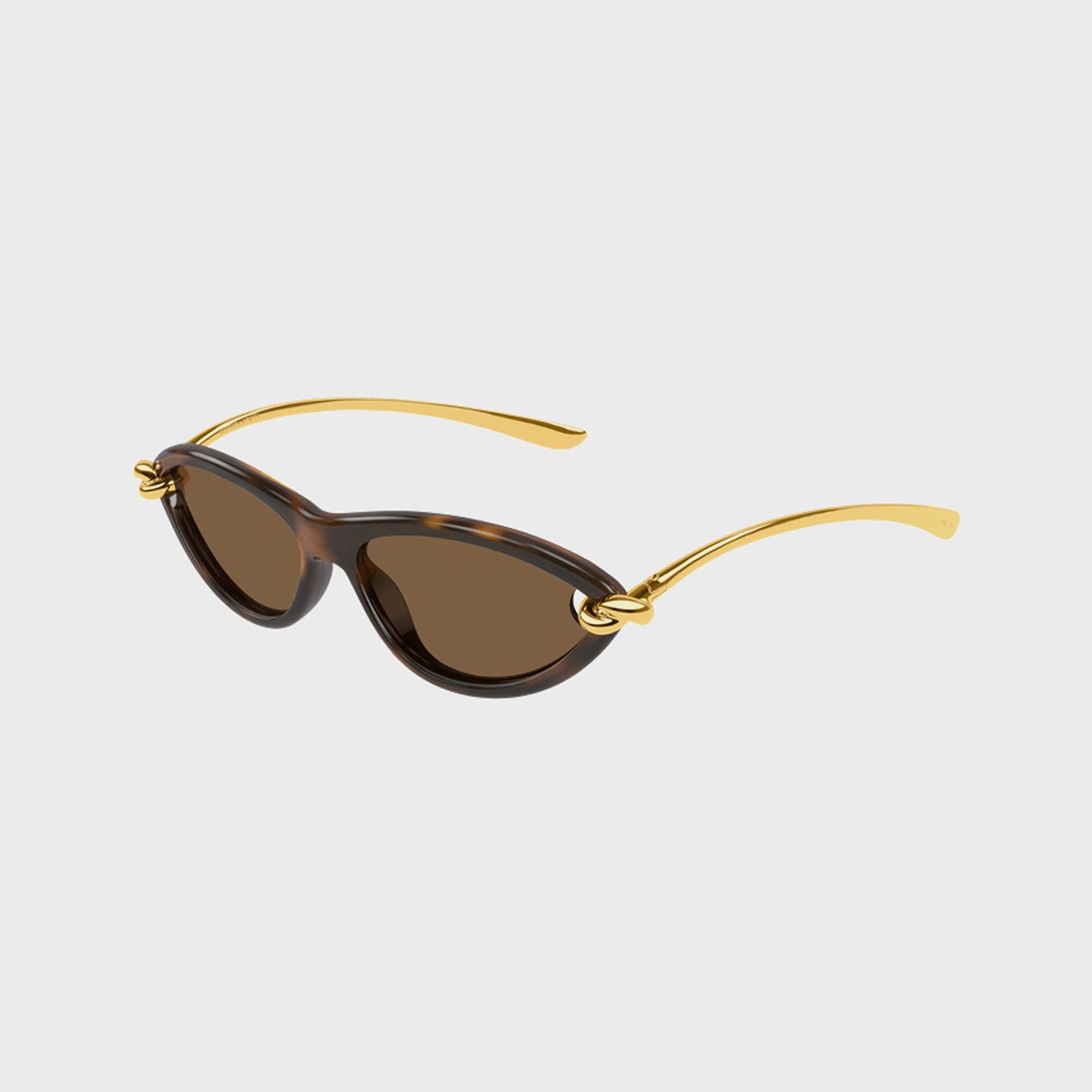 Bottega Veneta BV Metal Frames 90S in Tortoise