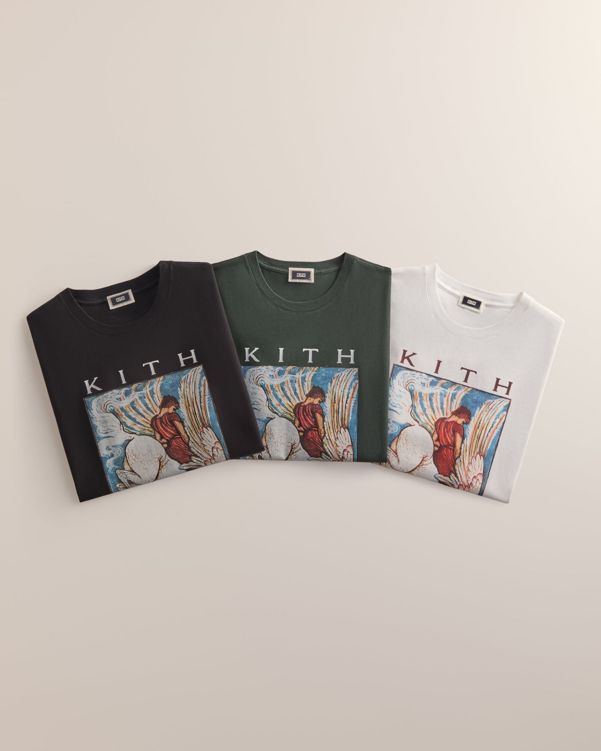 gid://shopify/MediaImage/43981832880404