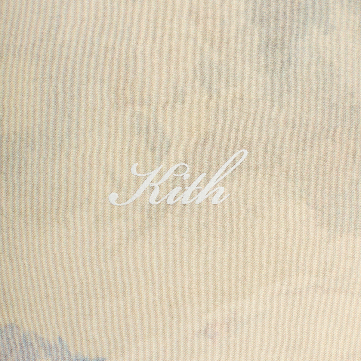 Kith Peak All-Over Printed Tee - Sandrift
