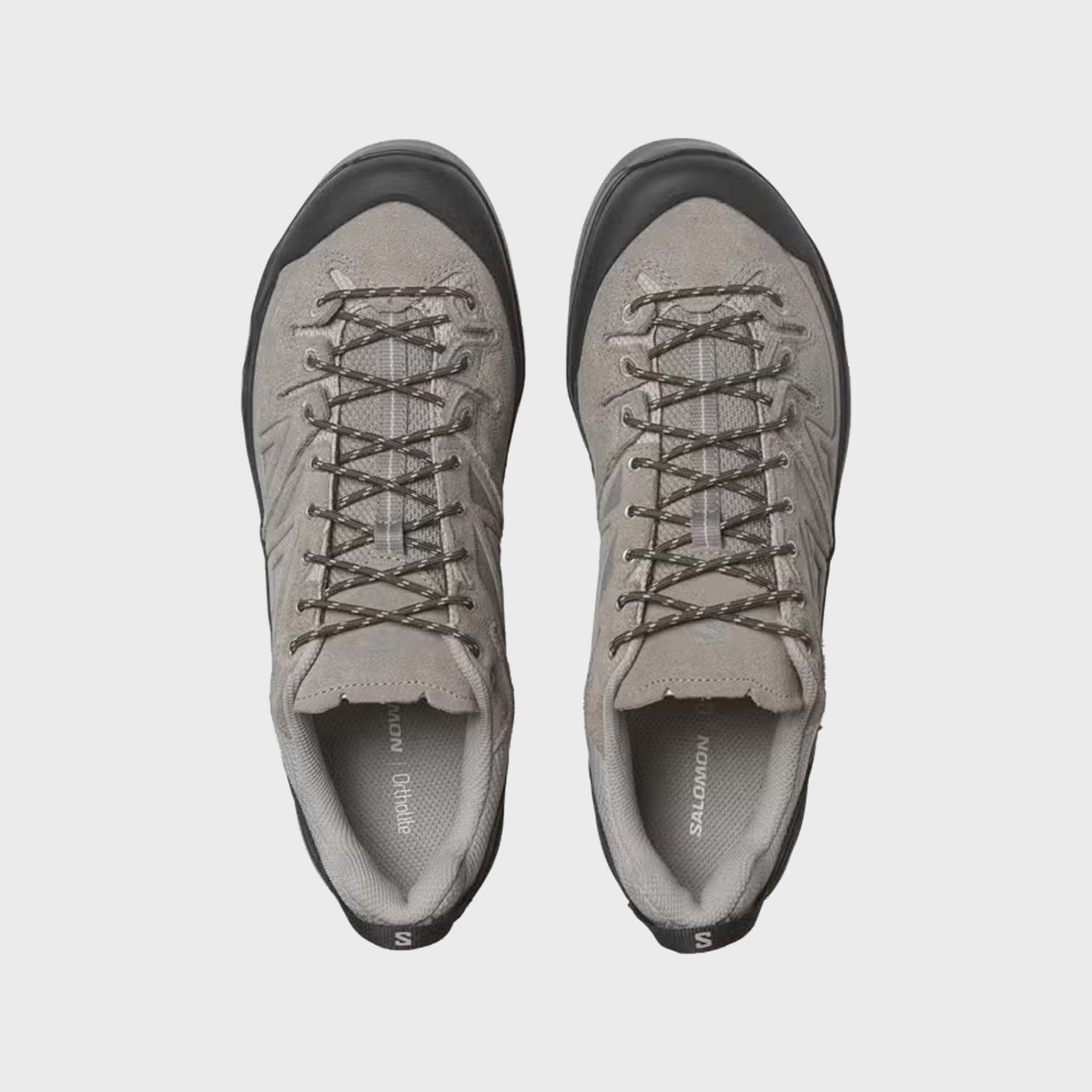 Salomon X-ALP LTR - Cloudburst / Paloma / Black