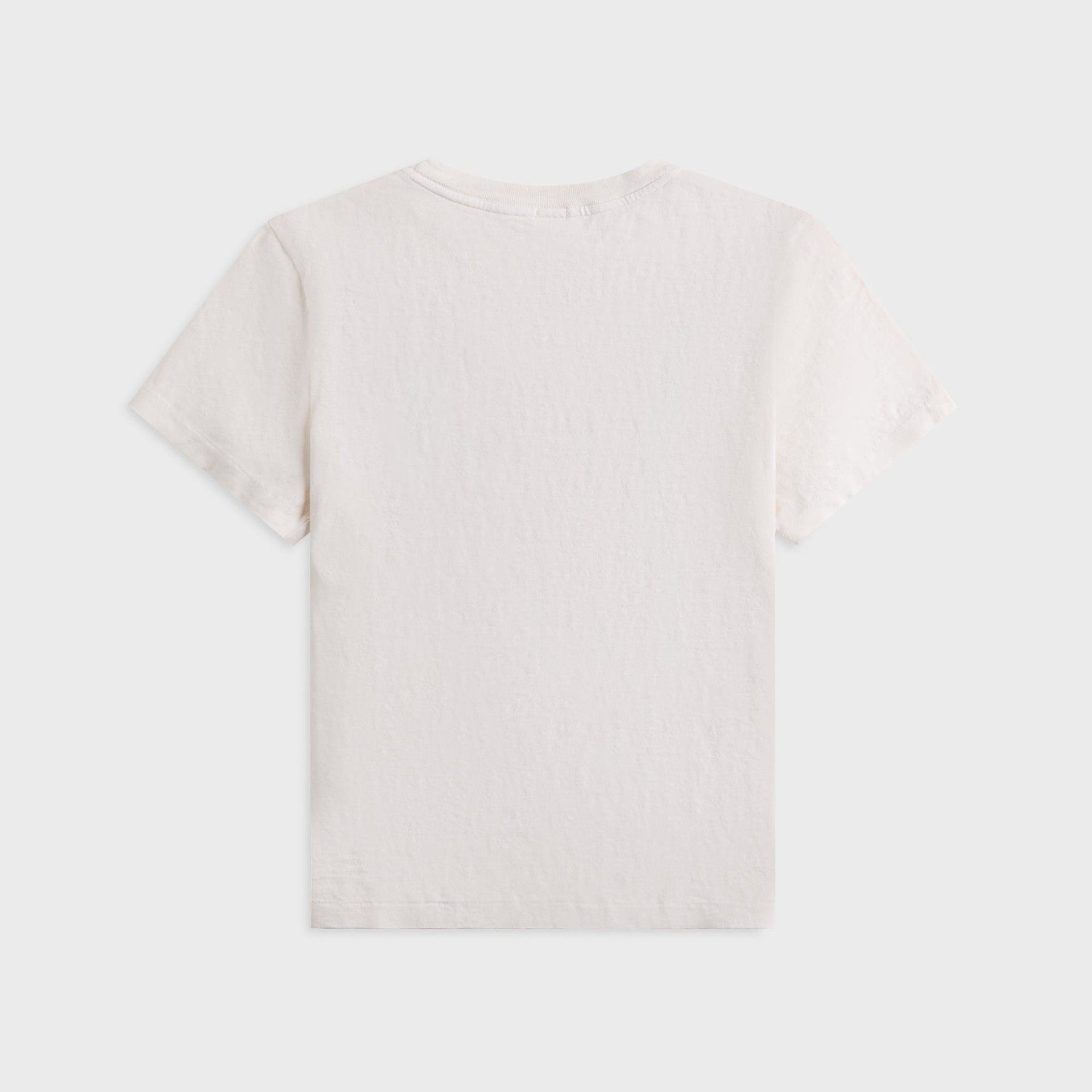 ReDone Classic Tee Swipe - Vintage White