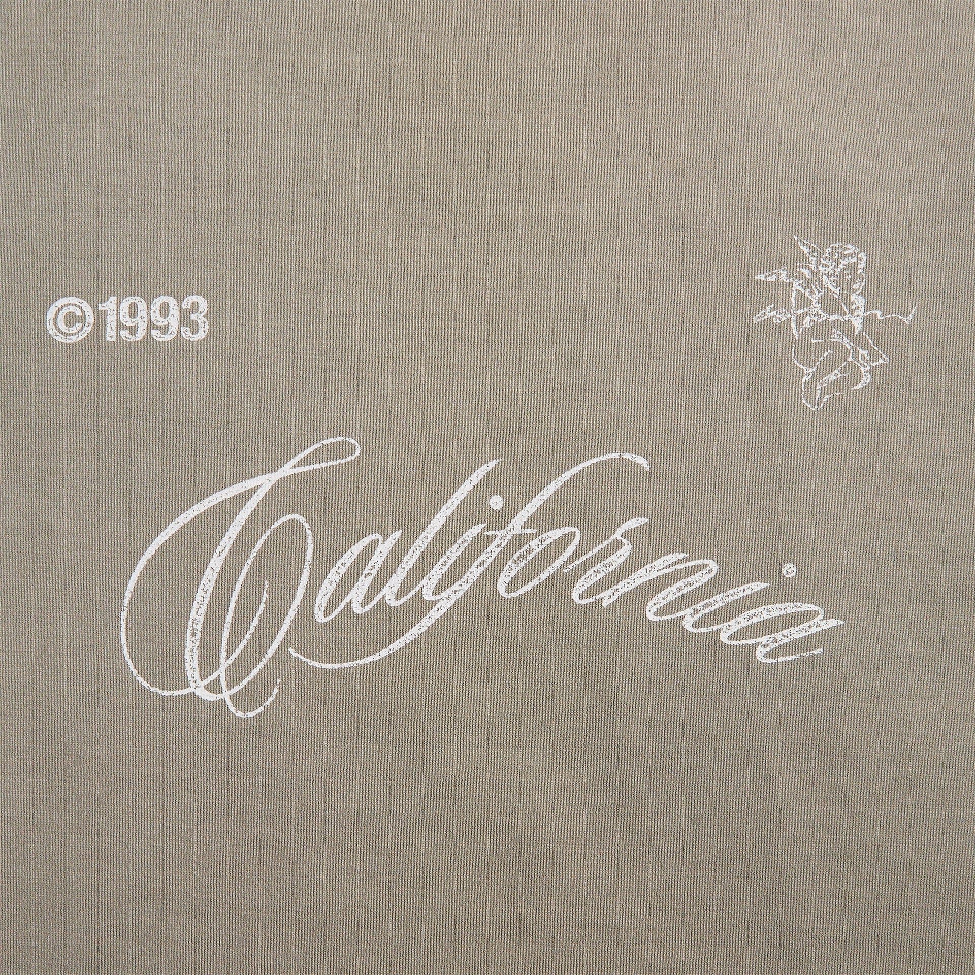 Stampd Cherub California Relaxed Tee - Vintage Washed in Smoke