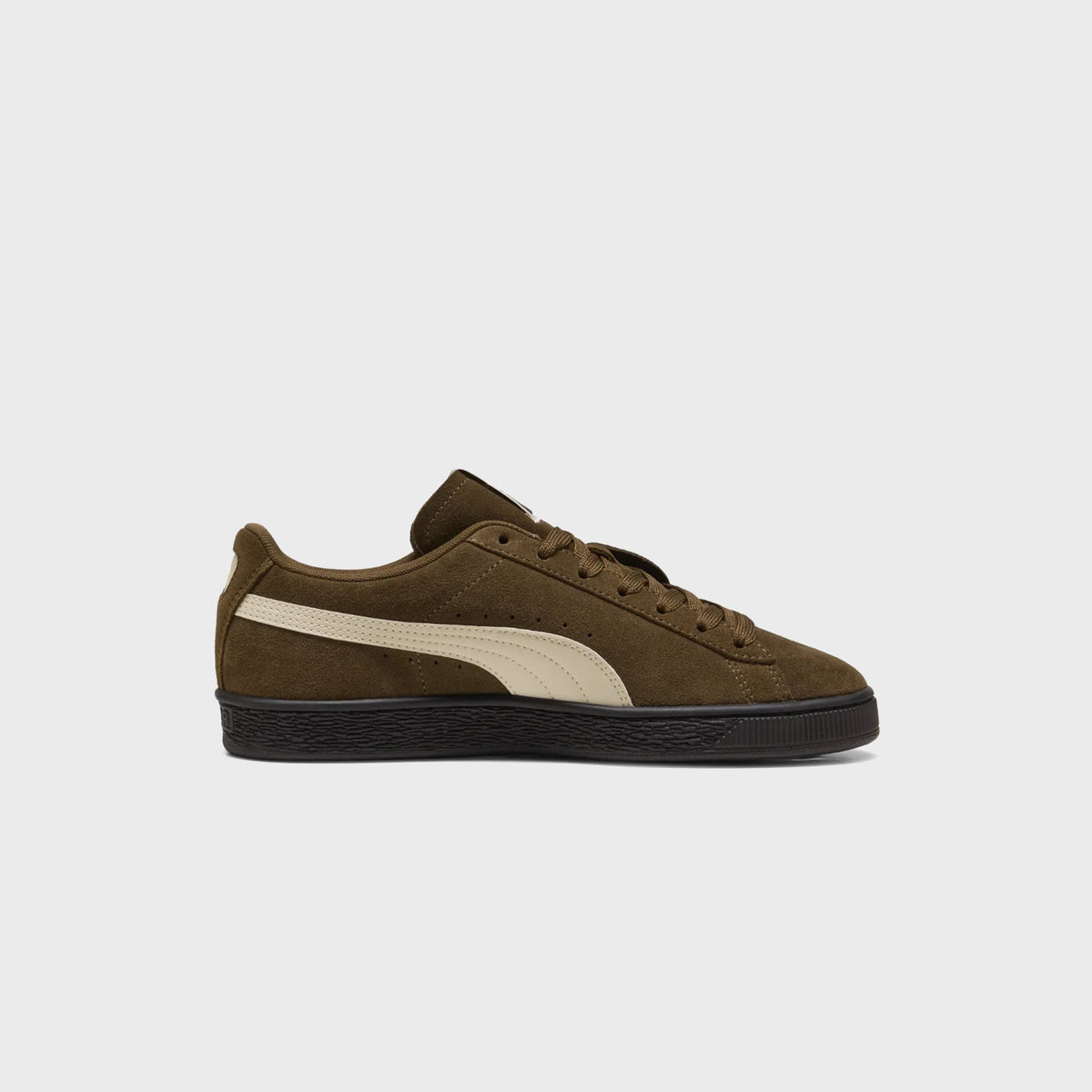 PUMA Suede Charles F. Stead VI - Aged Copper / Alpine Snow