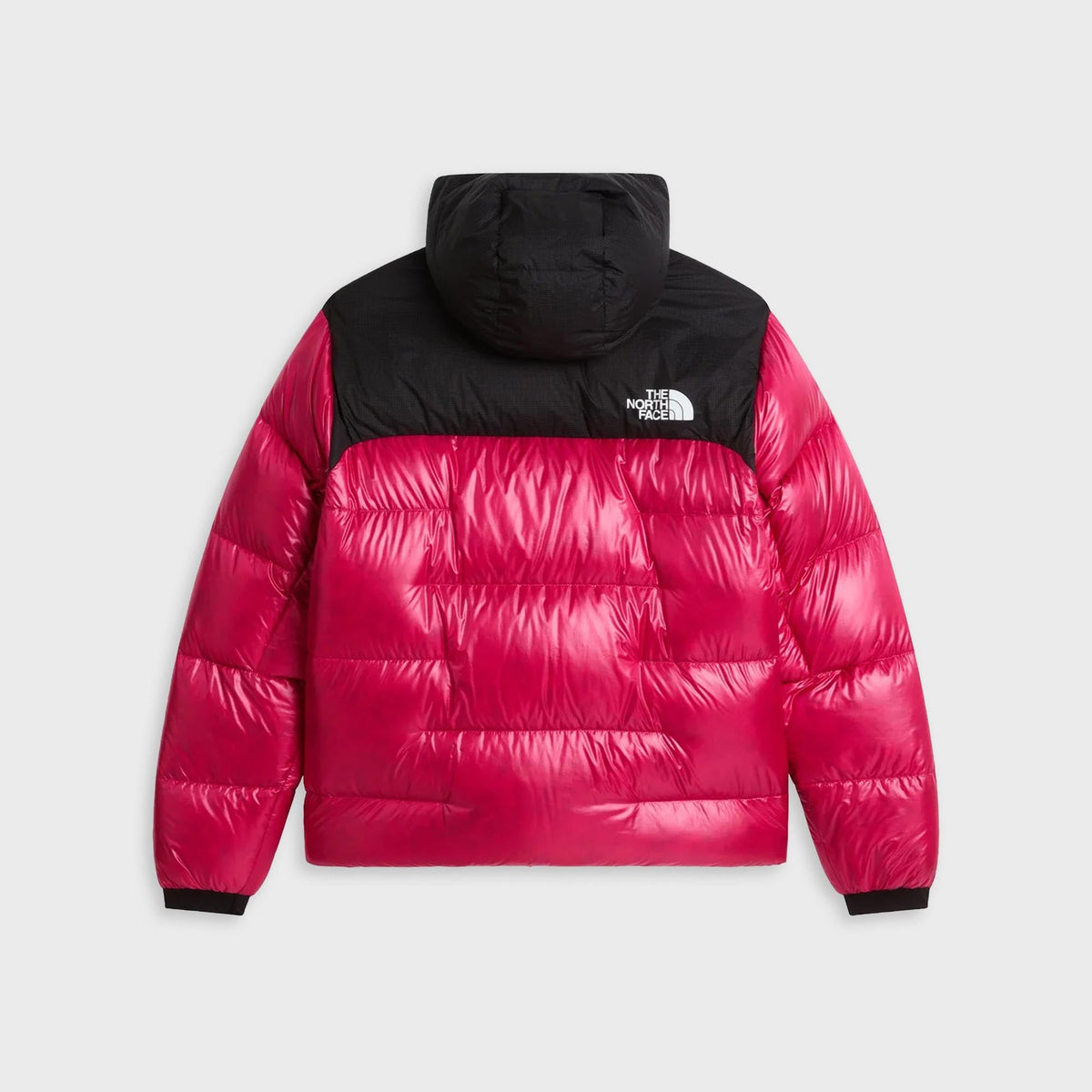 The North Face WMNS Summit Nuptse Jacket - Black / Lali Guran