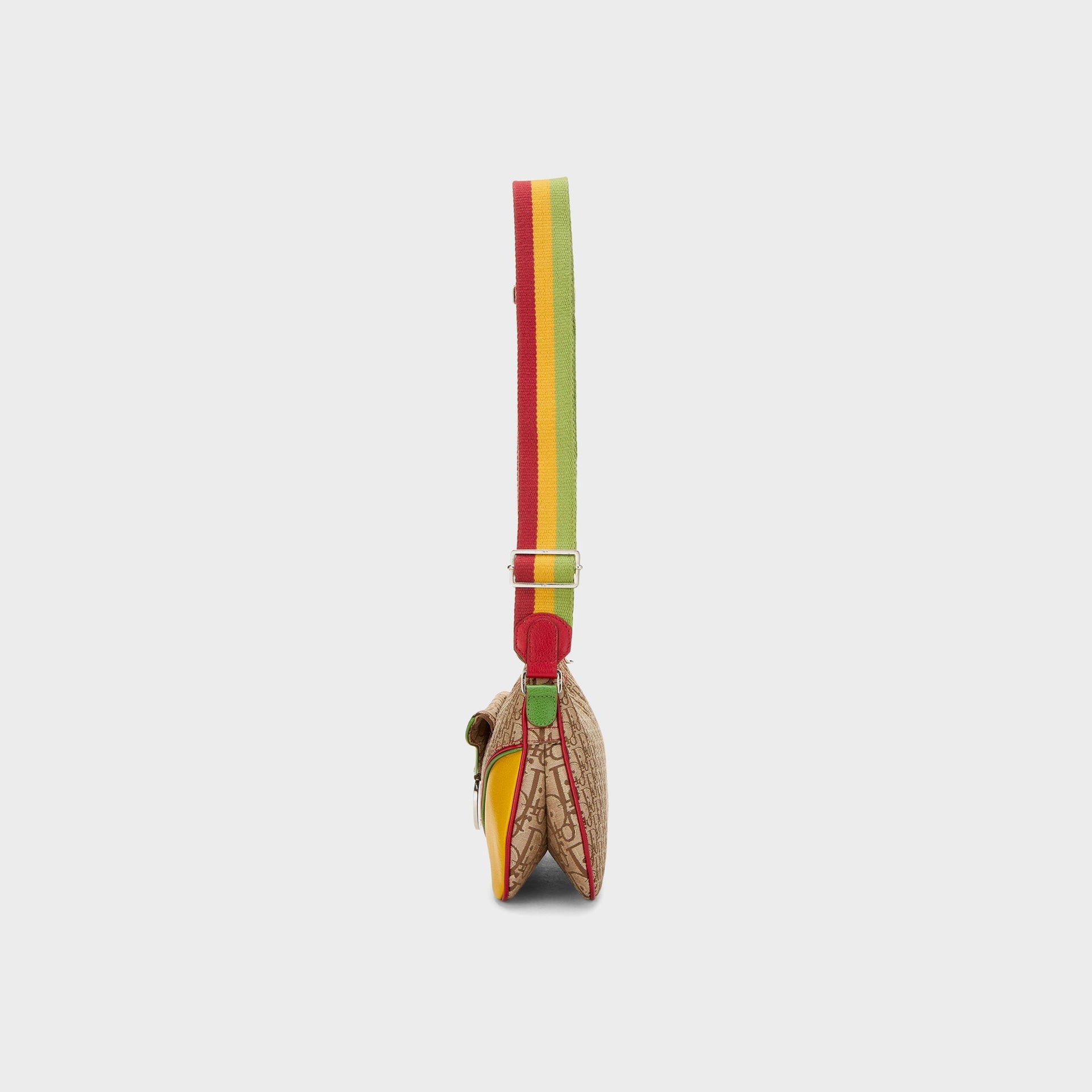 WGACA Dior Trotter Rasta Double Saddle in Multi