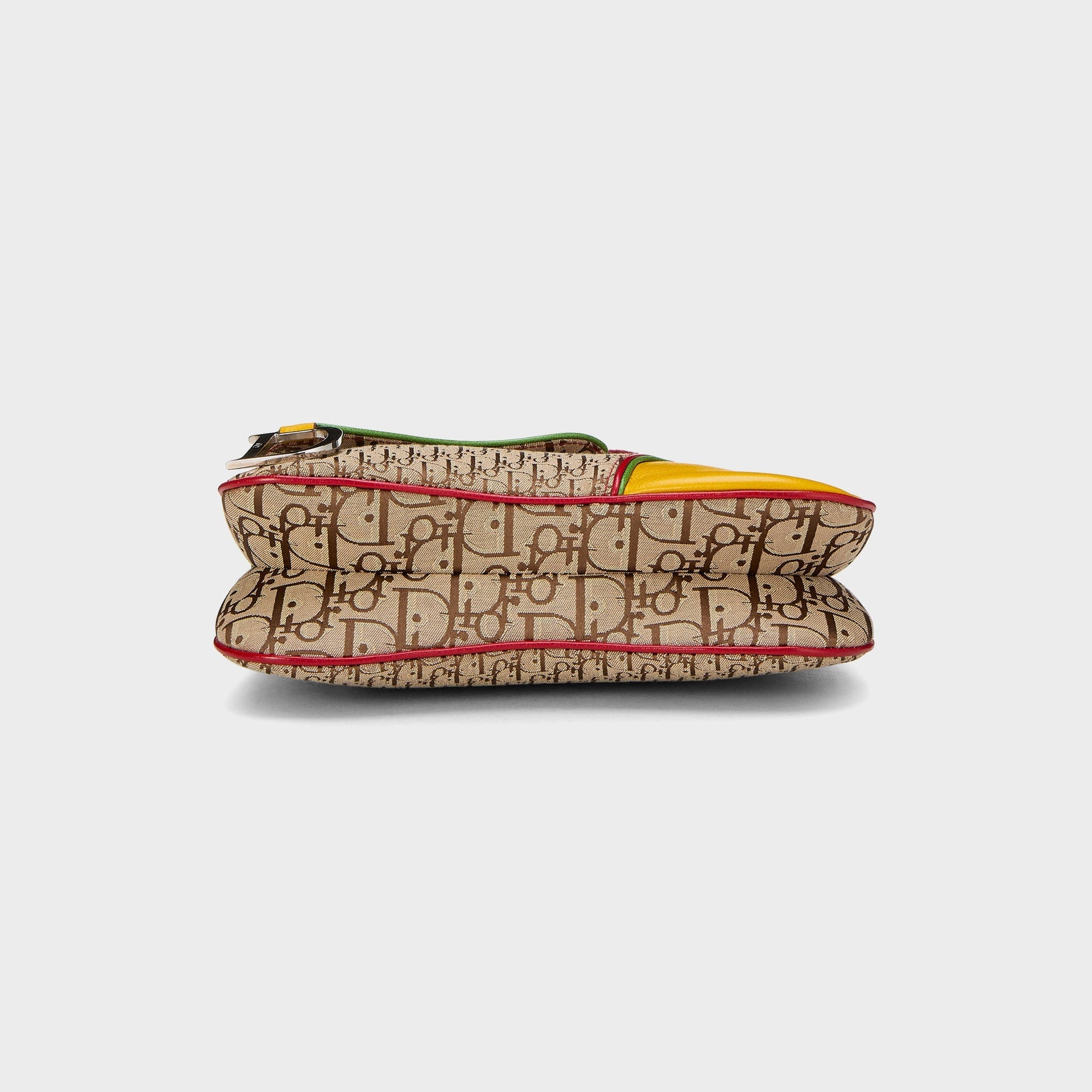 WGACA Dior Trotter Rasta Double Saddle in Multi