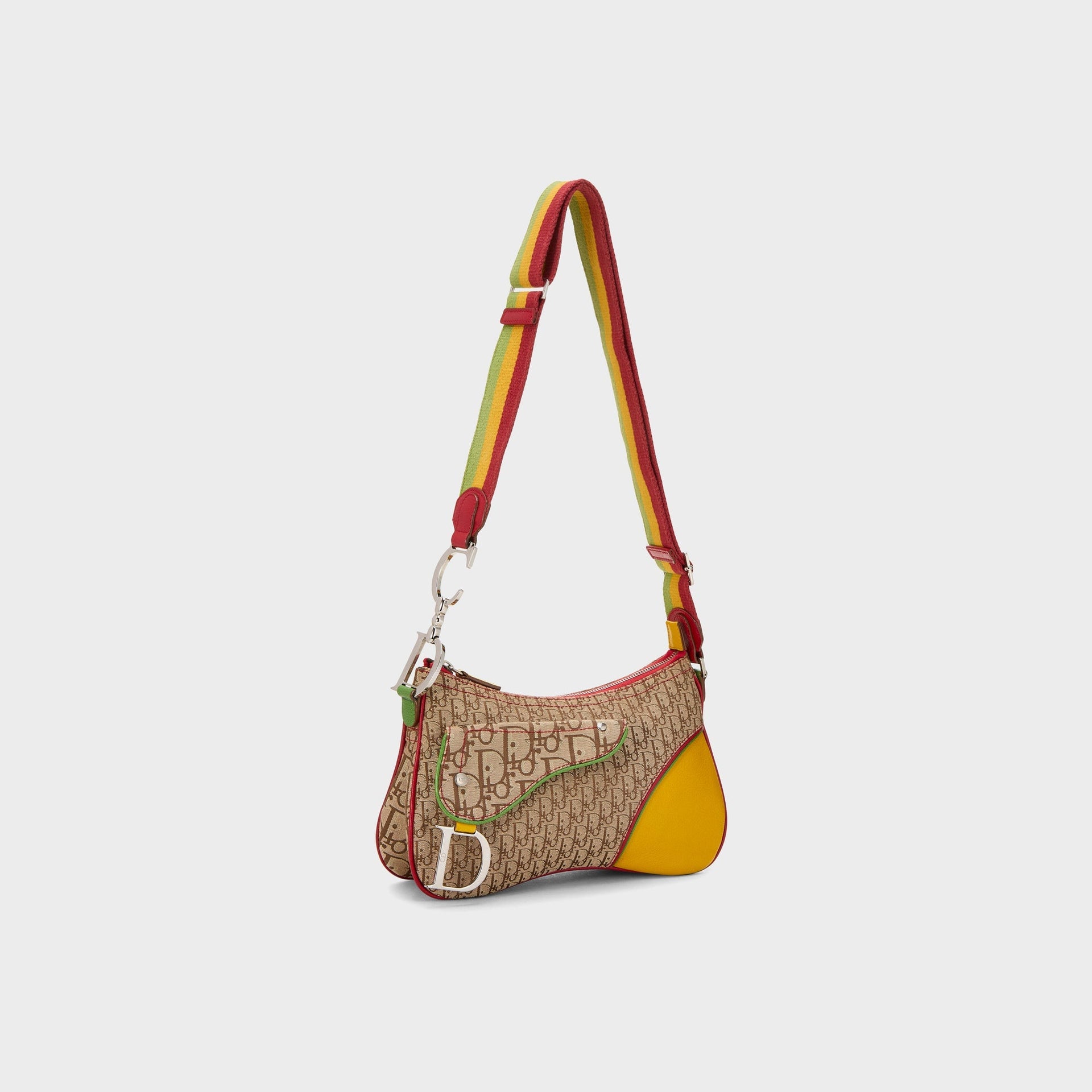 WGACA Dior Trotter Rasta Double Saddle in Multi
