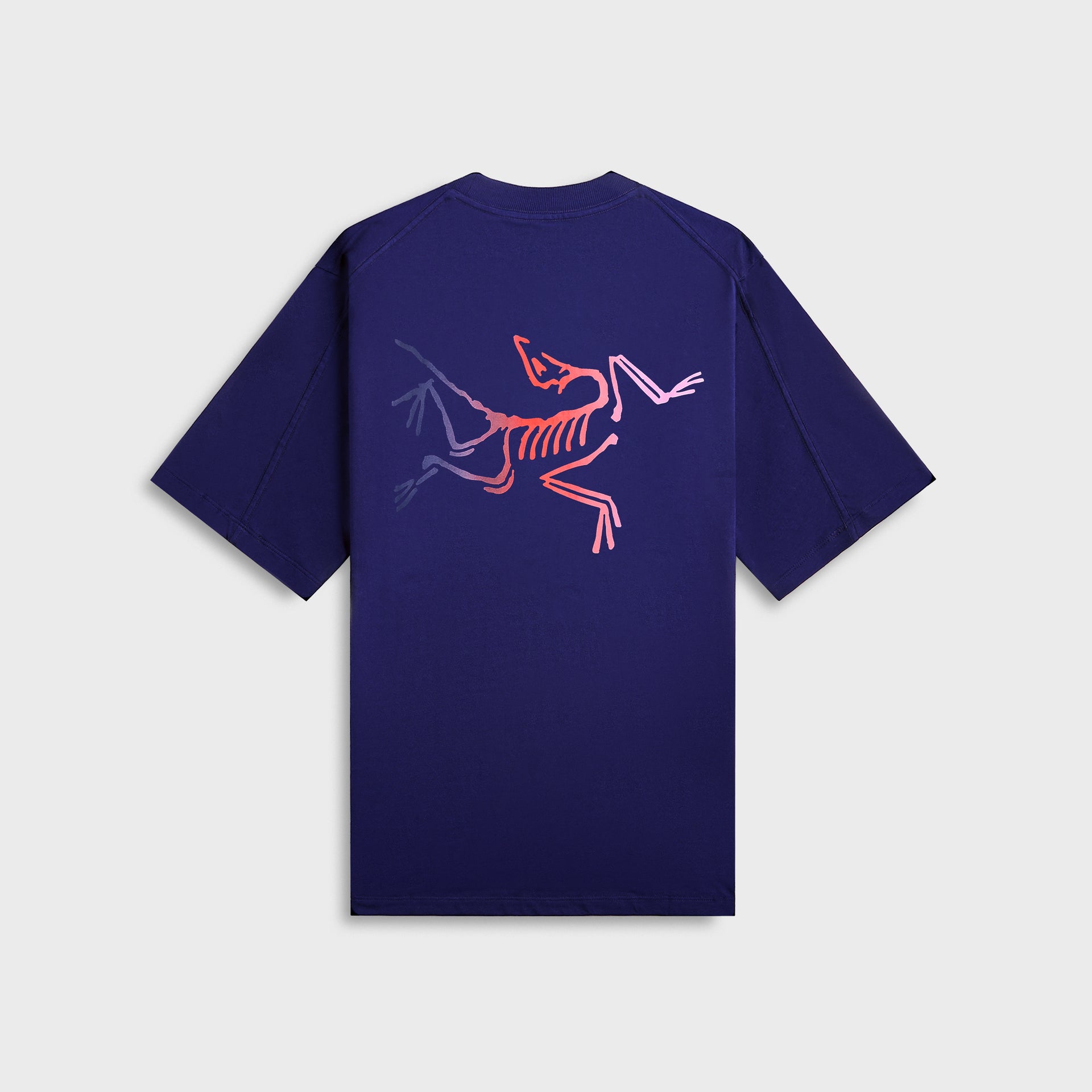 Arc'teryx Kragg Cotton Logo - Soulsonic / Dynasty