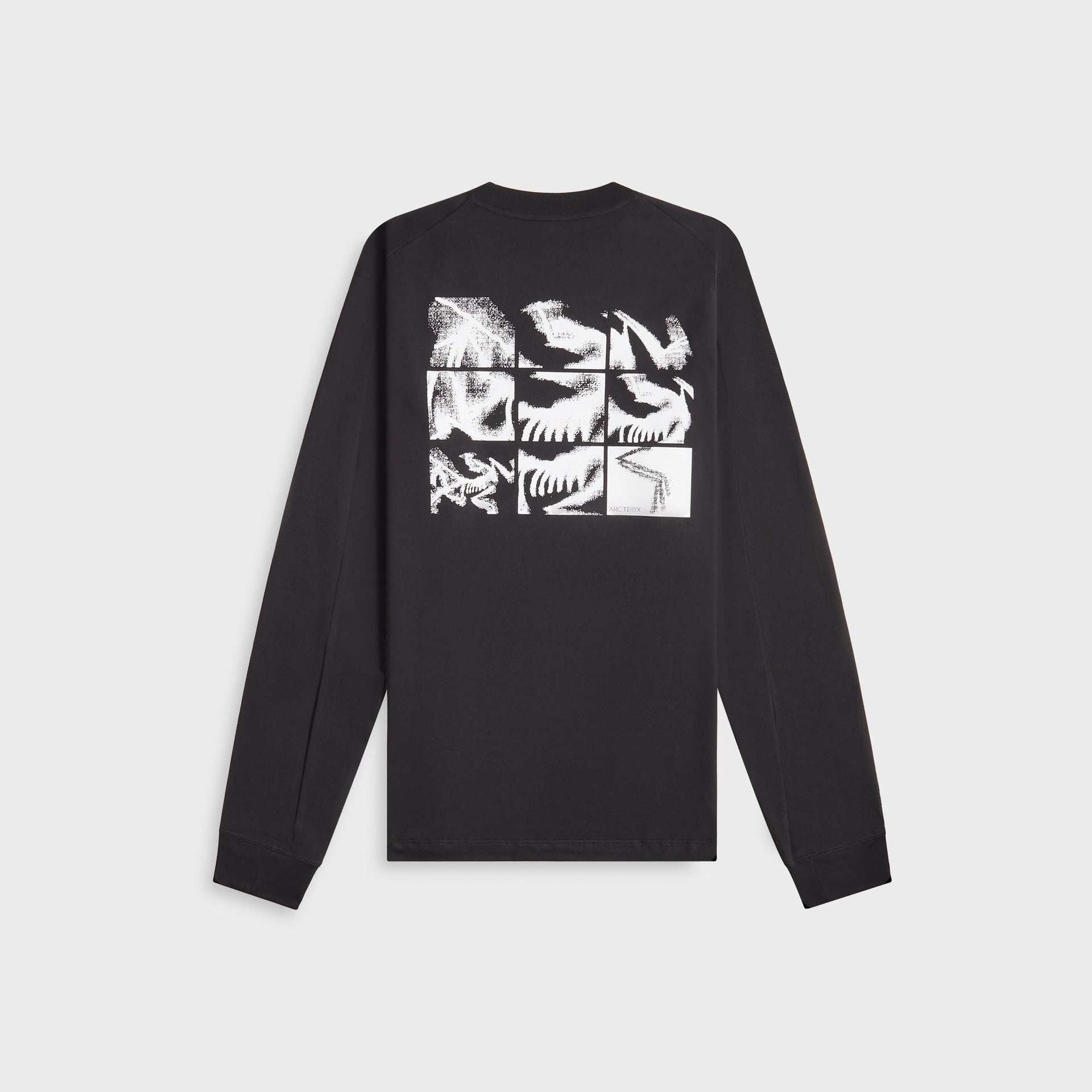 Arc'teryx  Kragg SL Cotton Bird Tile in Black / Arctic Silk