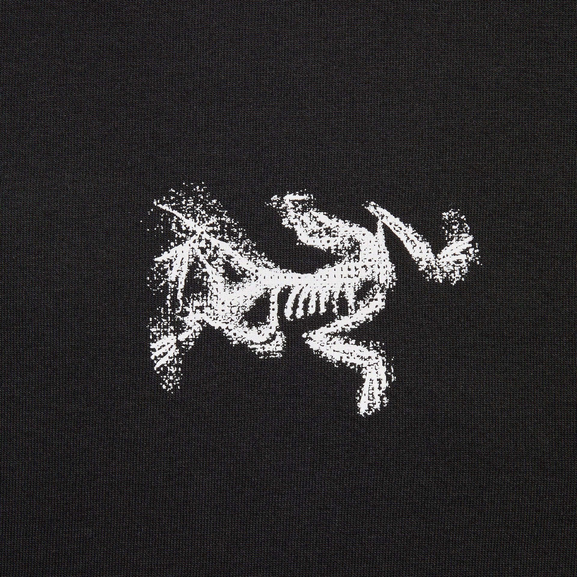 Arc'teryx  Kragg SL Cotton Bird Tile in Black / Arctic Silk