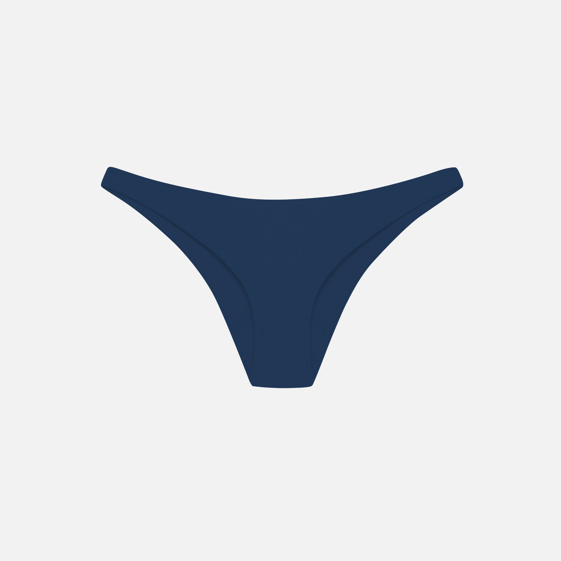 Jade Most Wanted Bikini Bottom - Indigo Sheen
