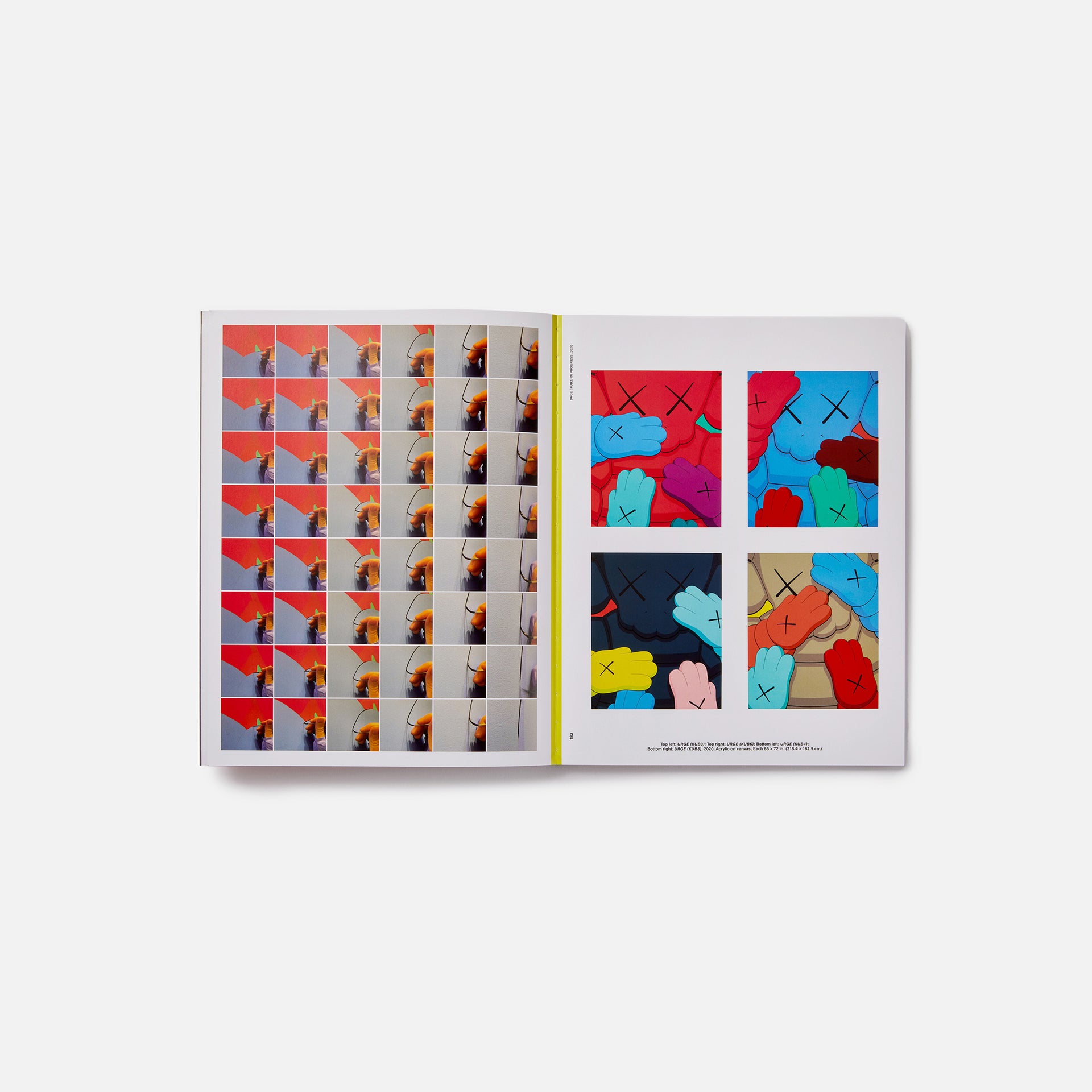 Phaidon Kaws: What Party - Black / Pink