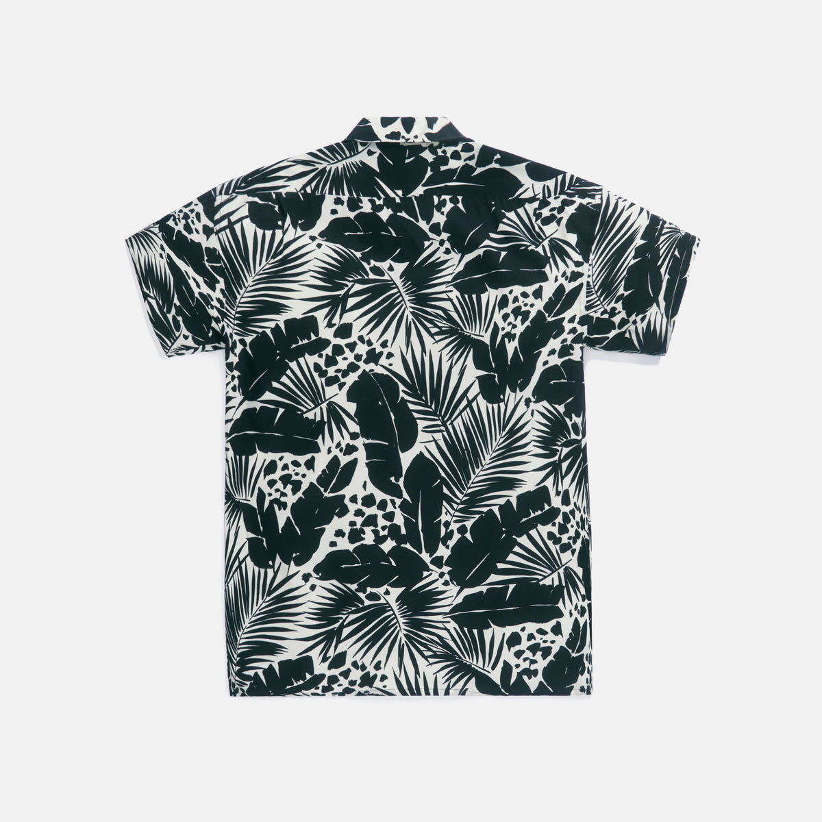 Saint Laurent Chemise Col Requinm Craie - Noir